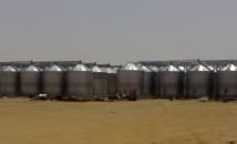 Комплекс по хранению зерна/корма – молочная ферма, корпорация Almarai (Саудовская Аравия)